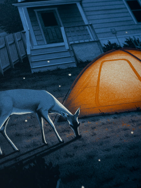 Dave Matthews Band - Drive-In