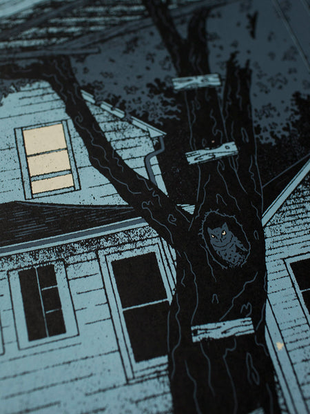 A Midsummer Night Long Ago