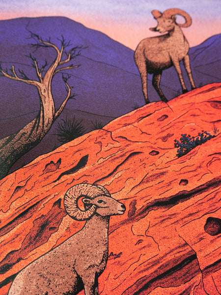 Ray LaMontagne - Red Rocks, CO