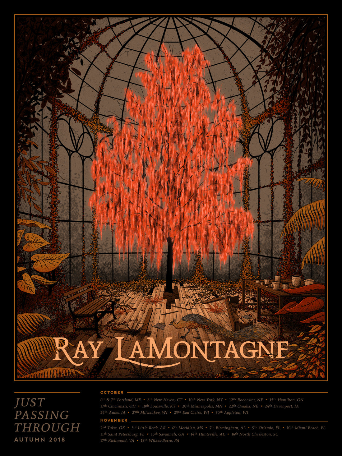 Ray LaMontagne - Just Passing Through 2018